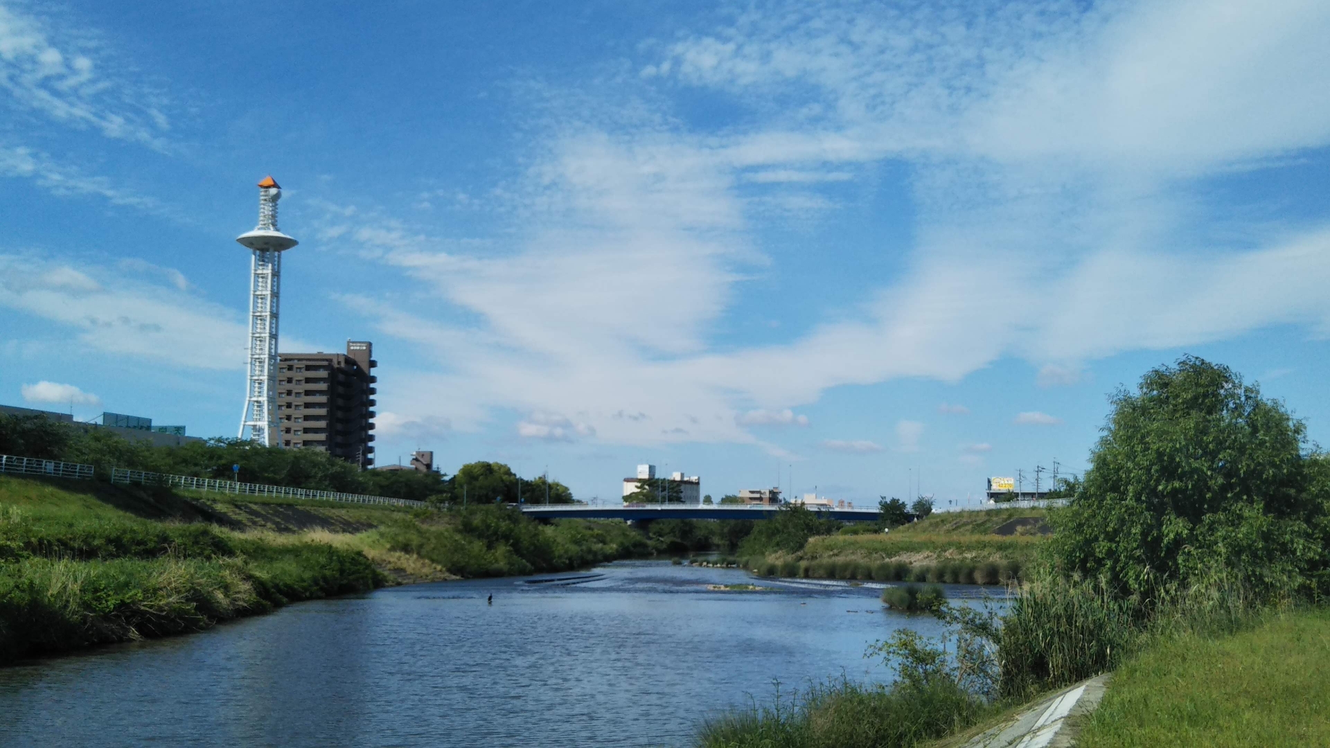 愛知県で家を建てるなら